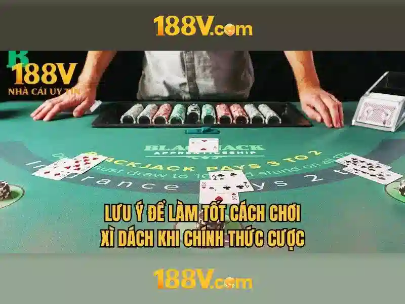 Trải nghiệm người dùng và phản hồi cộng đồng