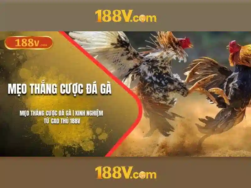 188v: khái niệm, nguồn gốc và tương lai