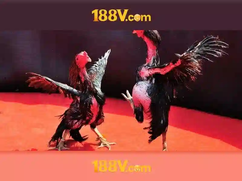 Khám phá 188v: khái niệm và nguồn cảm hứng