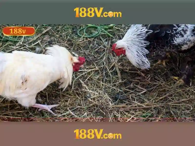 Lợi thế và sức cạnh tranh Lợi thế và sức cạnh tranh