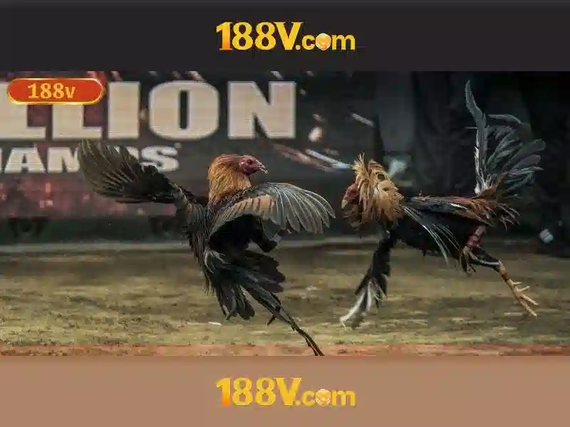 188v bet – tổng quan chủ đề và giá trị cốt lõi