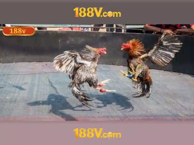 Sản phẩm và dịch vụ cốt lõi của https 188v poker Sản phẩm và dịch vụ cốt lõi của https 188v poker