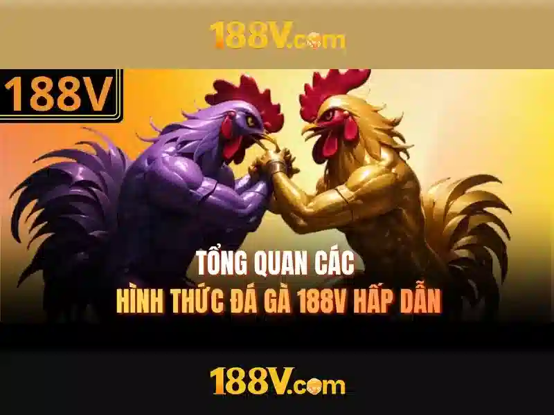 188v com app – Tổng quan chủ đề và giá trị cốt lõi