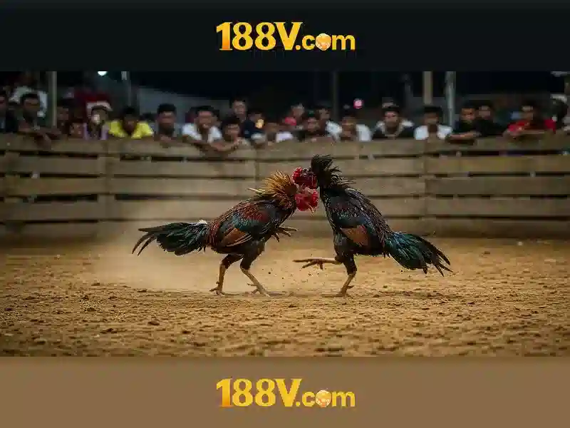 Khởi nguồn và sứ mệnh của 188v.com