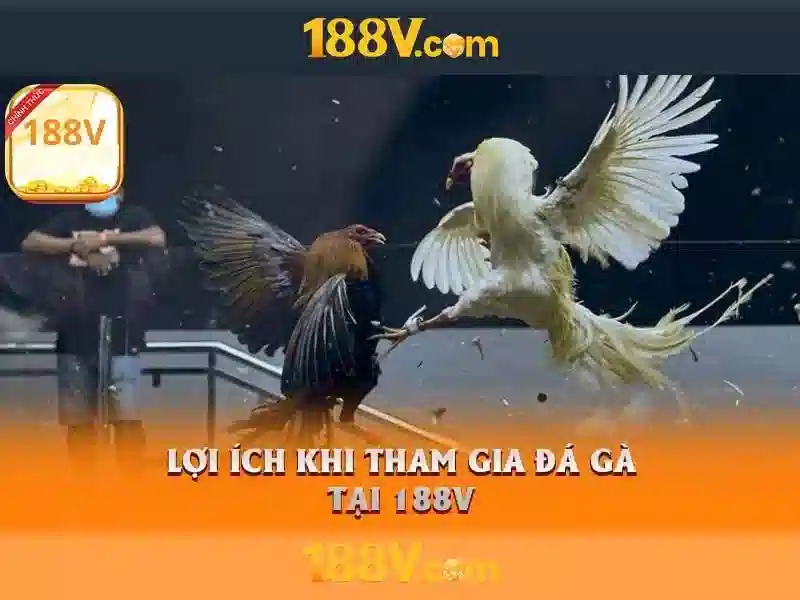 188v tại - Trải nghiệm đỉnh cao và hành trình thương hiệu