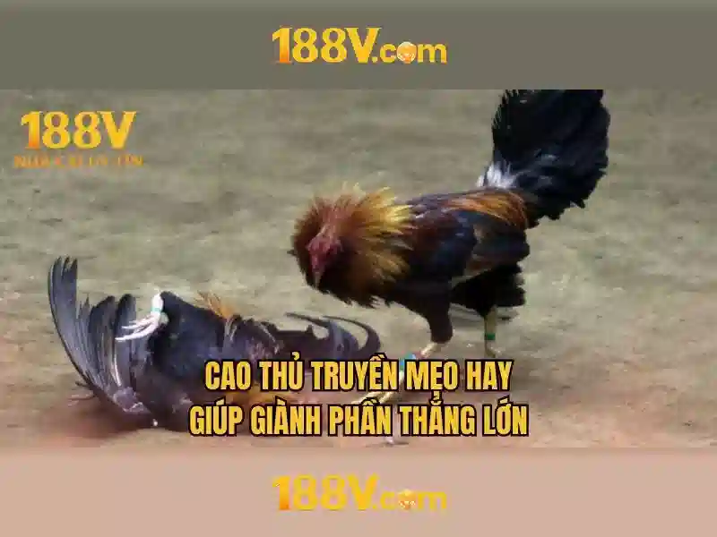 188v vom – Khám phá thương hiệu và ứng dụng 188v