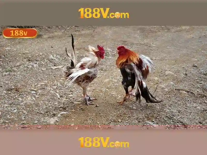 188V: Khía cạnh về điện áp và ứng dụng công nghệ