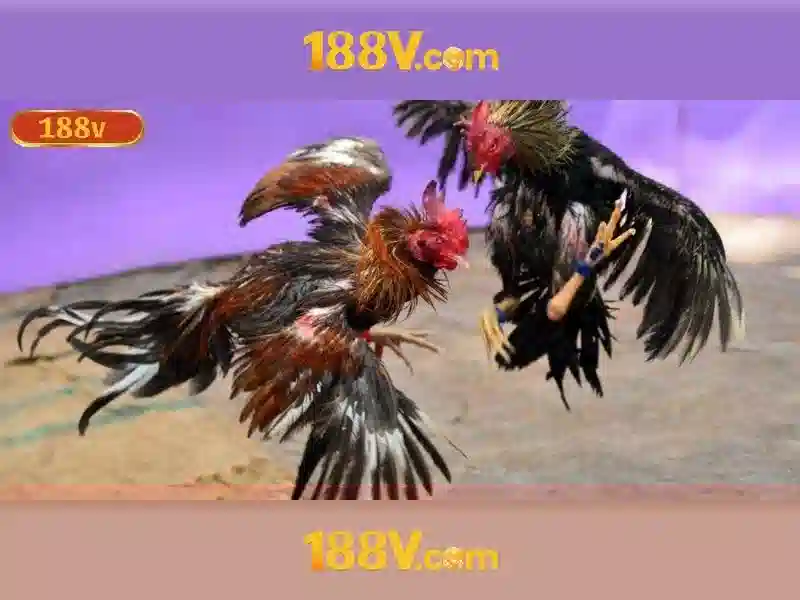 Sản phẩm và Dịch vụ cốt lõi của hỗ trợ 188v Sản phẩm và Dịch vụ cốt lõi của hỗ trợ 188v