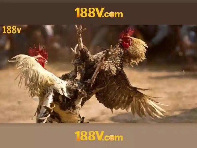 188v và hành trình khám phá một khái niệm hiện đại