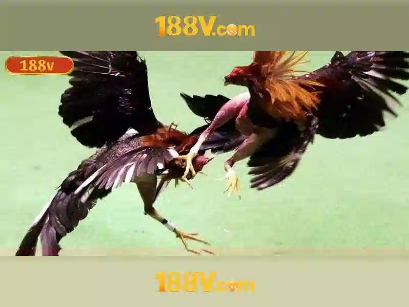 bắn cá 188v – Tổng quan chủ đề và giá trị cốt lõi bắn cá 188v – Tổng quan chủ đề và giá trị cốt lõi