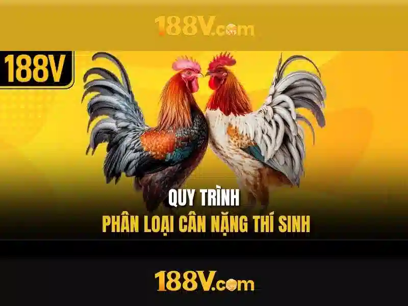Ứng dụng và tác động