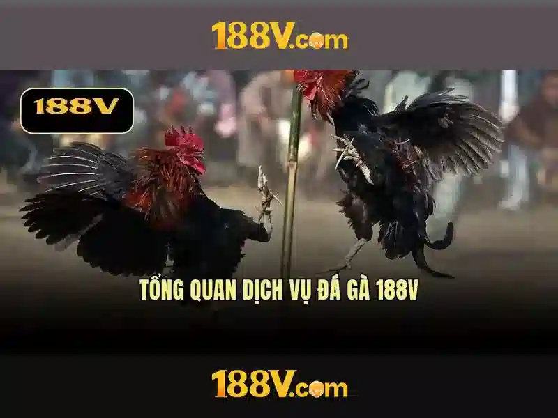 Khám phá 188V và vai trò của điện áp trong hệ thống điện