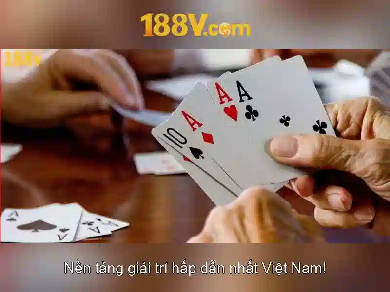 Trải nghiệm người dùng và phản hồi từ cộng đồng