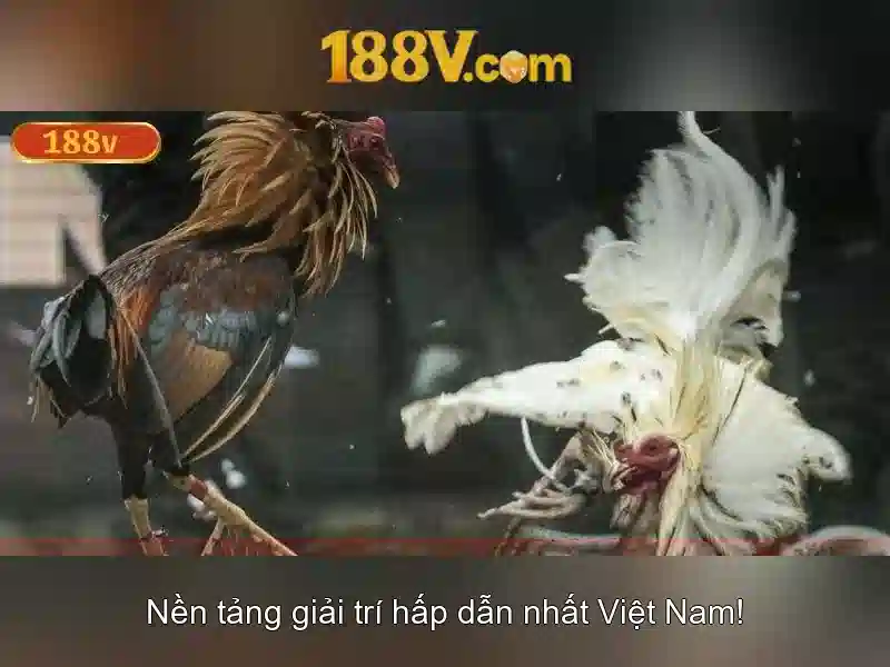 188V: Hiểu biết về điện áp 188V và ứng dụng