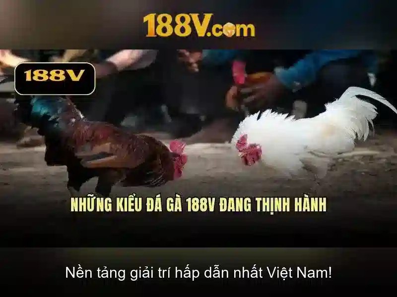 Khám phá 188V: Một cái nhìn tổng quan