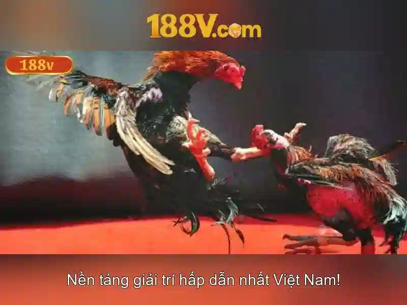 188v: Cuộc hành trình với một con số và biến thể