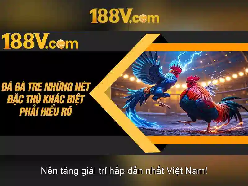Âm thanh, hình ảnh và 188v trong trải nghiệm Âm thanh, hình ảnh và 188v trong trải nghiệm