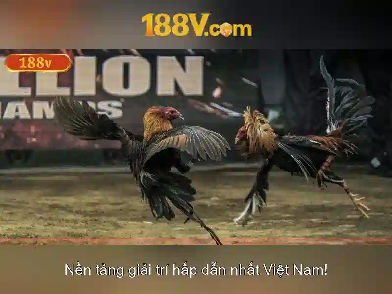 188V và hành trình khám phá năng lượng số
