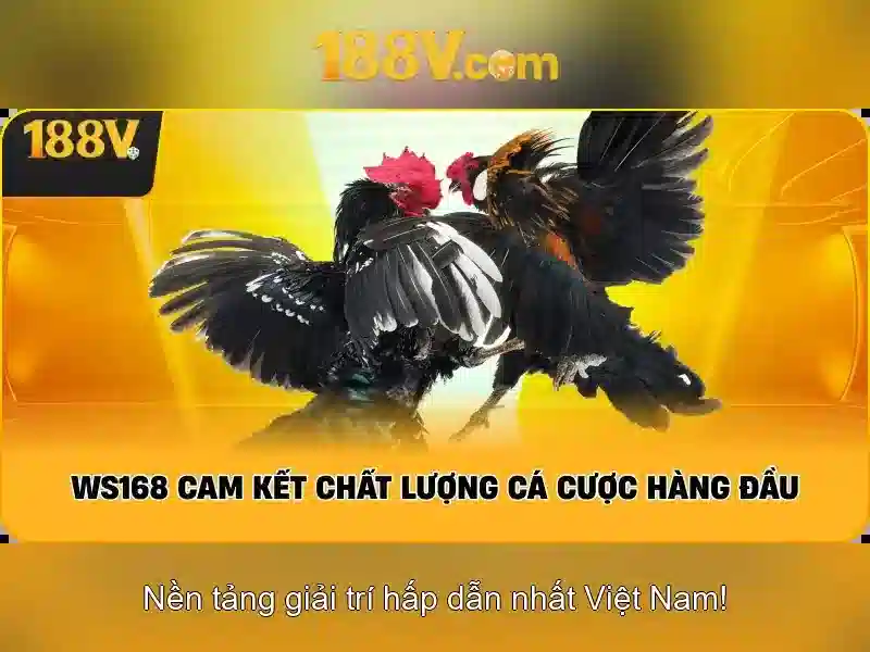 Khía cạnh văn hóa và nghệ thuật\n\n