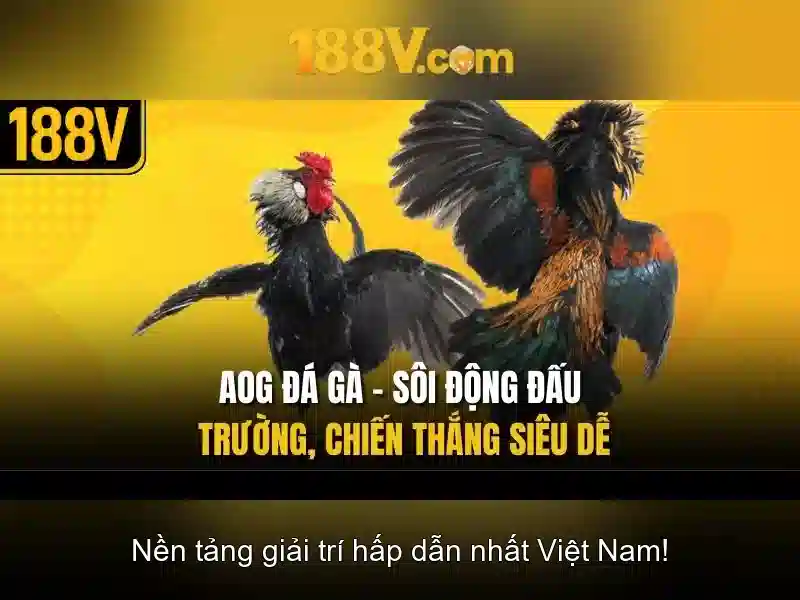 Một hành trình với 188V\n