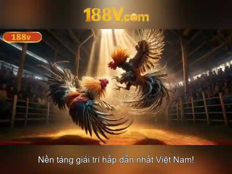 Khởi nguồn 188v\n