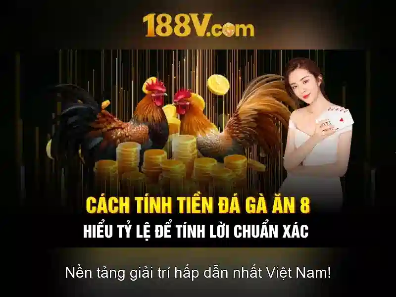 Về 188v: một hành trình khám phá