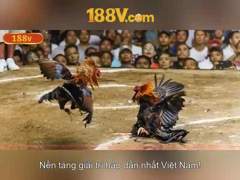 Tương lai của 188V trong năng lượng