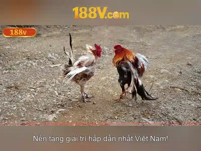 188v: Khái niệm và hành trình