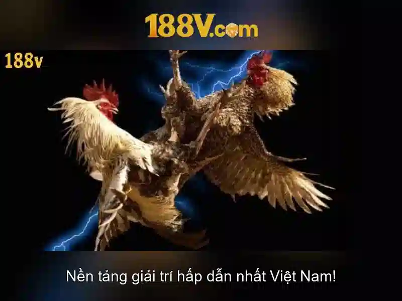 Các lưu ý khi làm việc với 188v\n\n