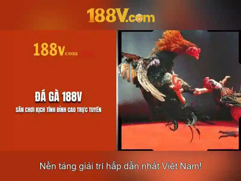 188v là gì? Một cái nhìn bằng tiếng Việt
