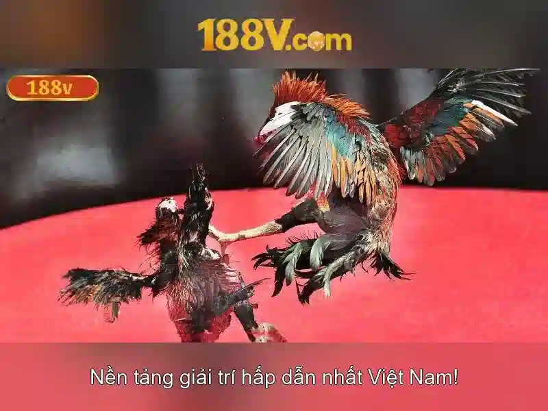 Kiến trúc căn bản của 188v