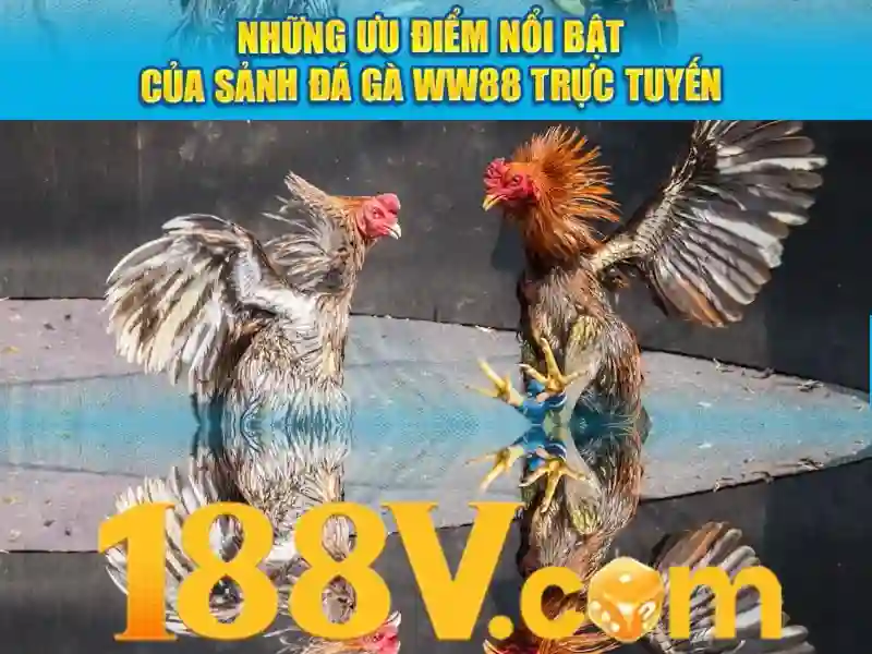 Nguồn gốc và phát triển Nguồn gốc và phát triển