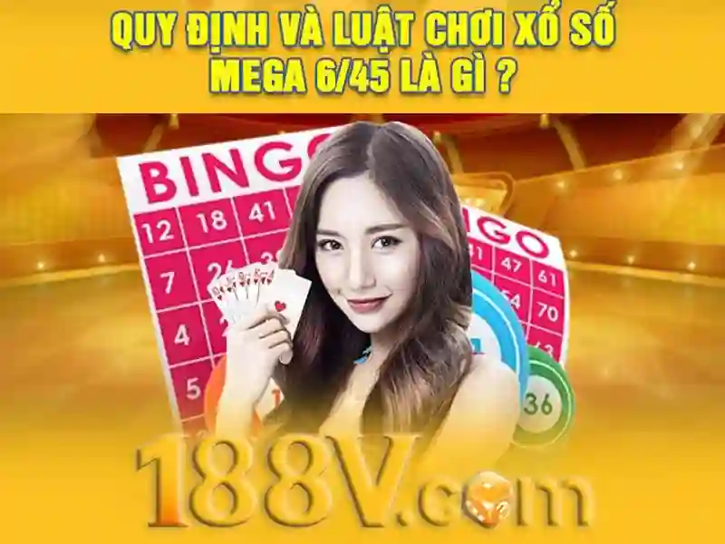 Trải nghiệm người dùng và phản hồi cộng đồng